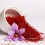 Haridra & Kumkuma Grithan